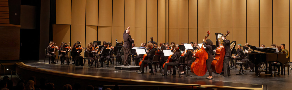 youth orchestra being conducted