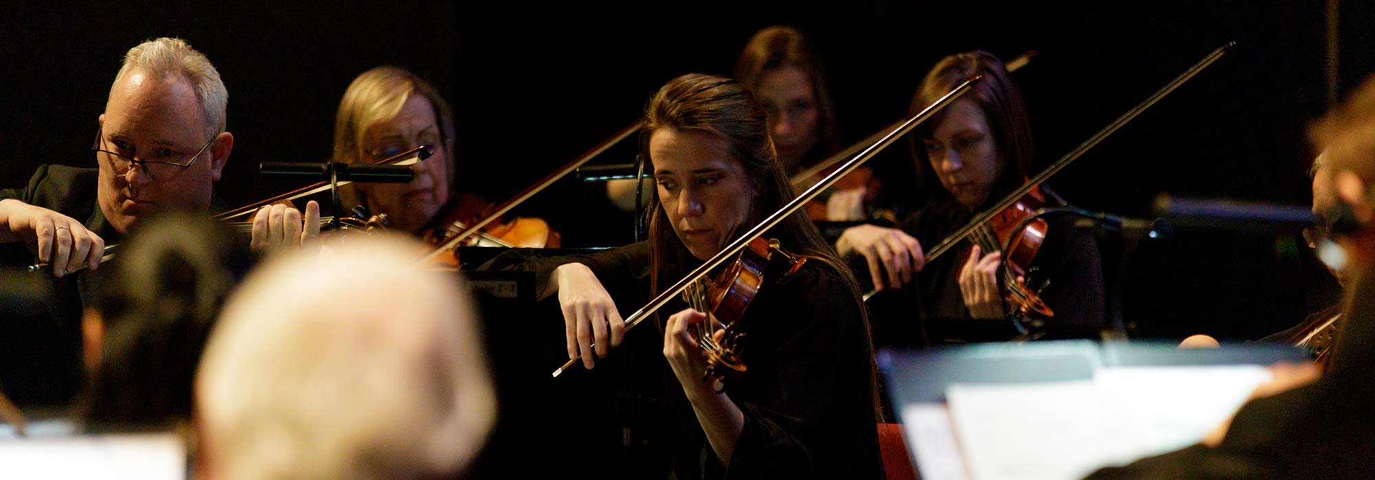 orchestra members in concert