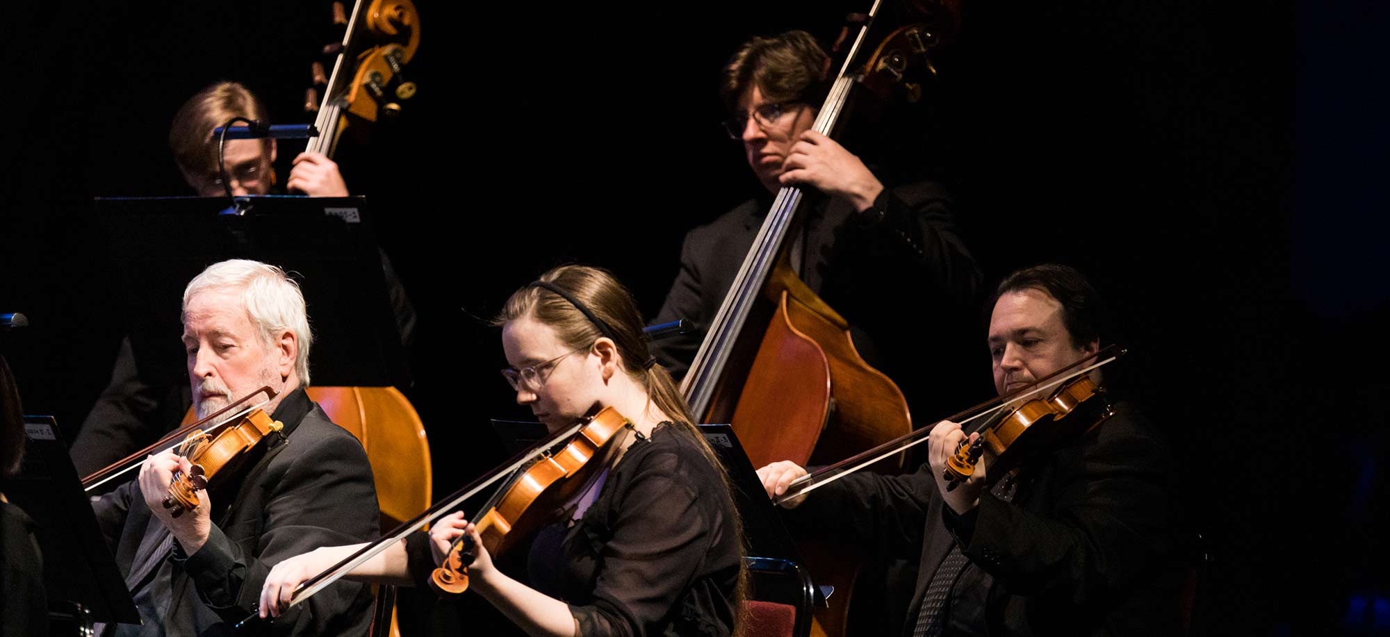 section of orchestra performing