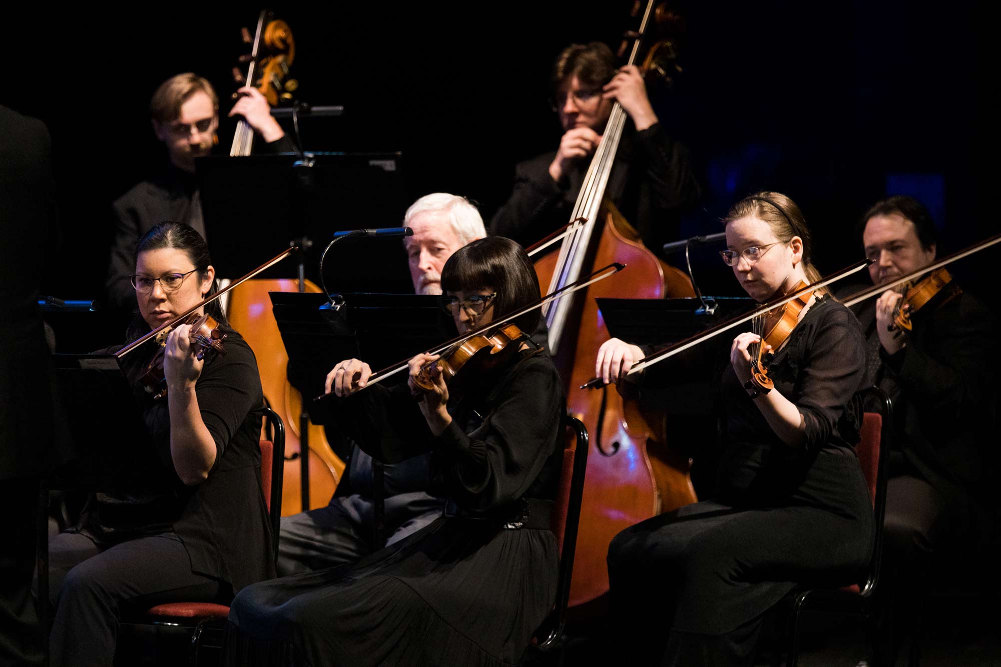 orchestra in concert