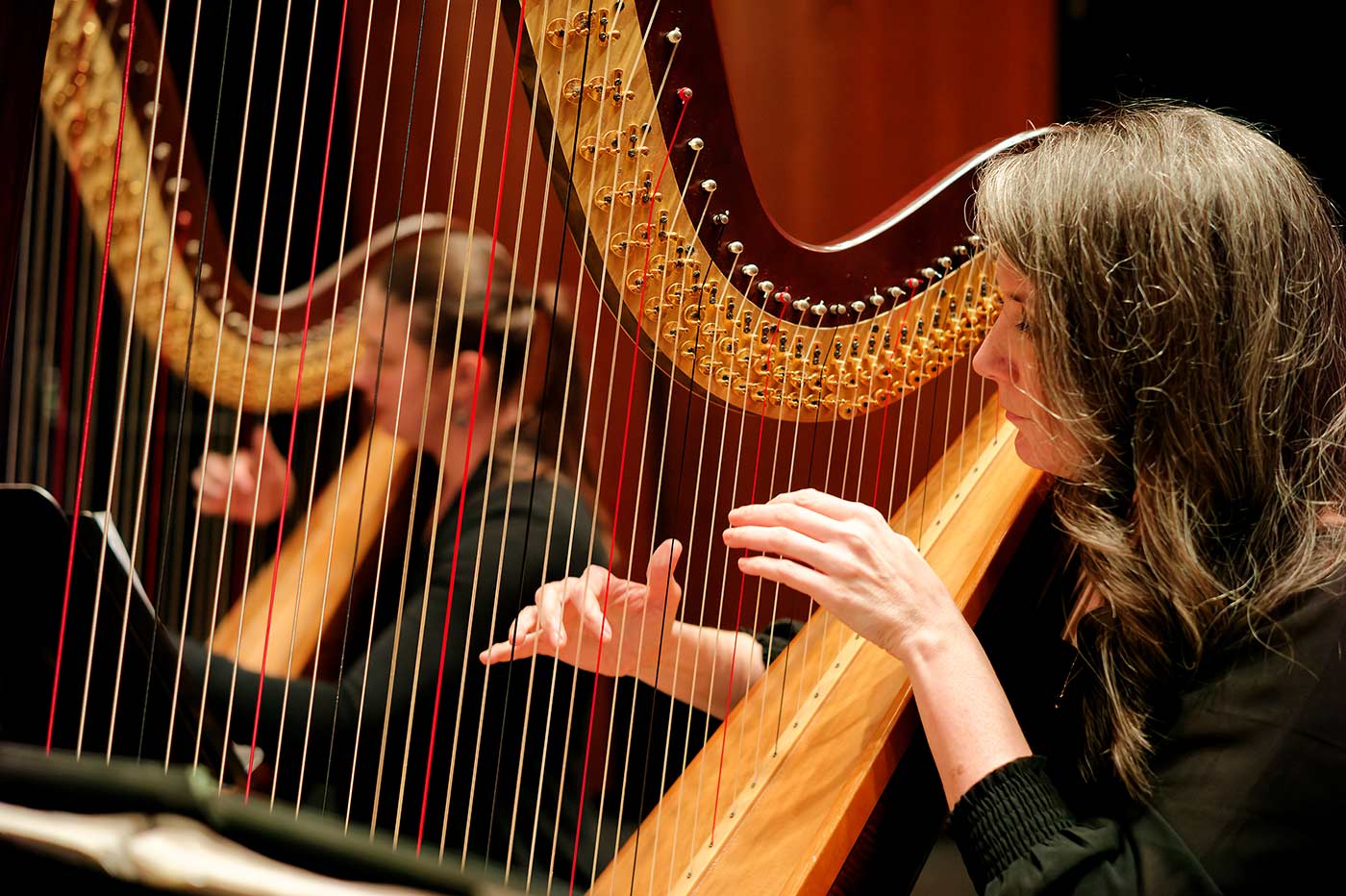 Two orchestra members playing the harp in concert